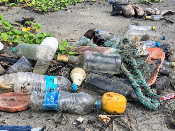 SDG 12: Responsible Consumption & Production